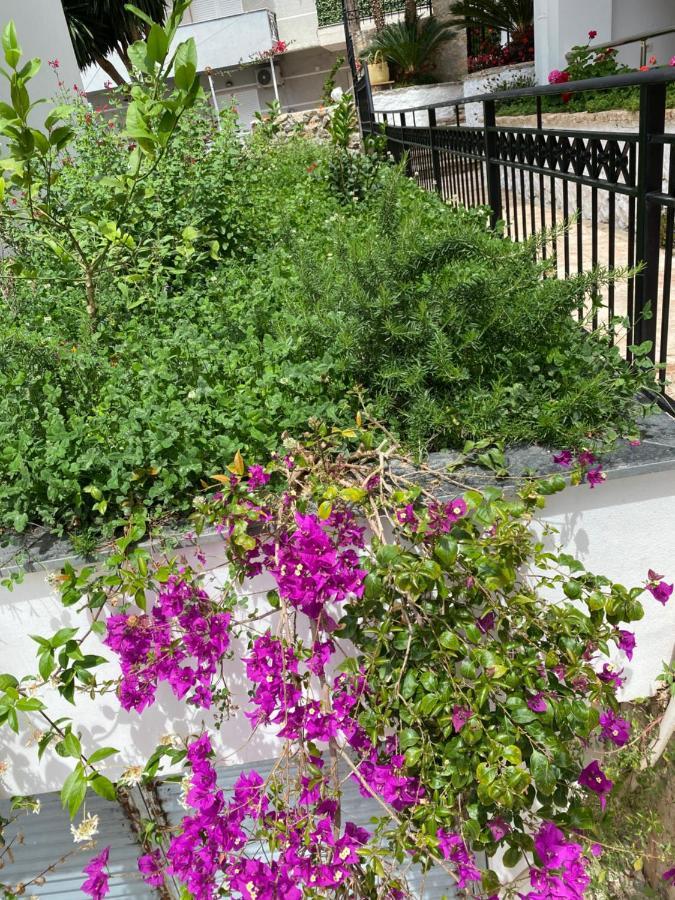 Apartamente Berti'S Garden Sarande Exterior photo