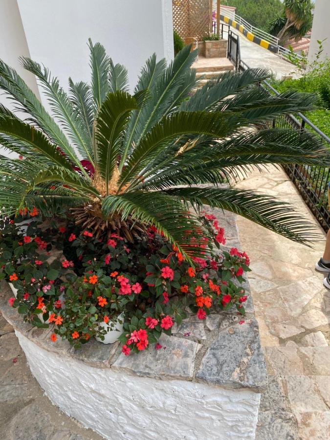 Apartamente Berti'S Garden Sarande Exterior photo